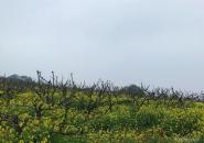 凤凰沟景区自驾游