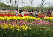 凤凰沟景区自驾游