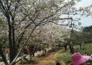 凤凰沟景区自驾游