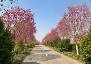 凤凰沟景区自驾游