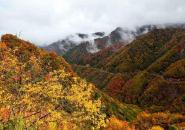 光雾山风景区自驾游