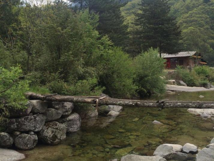 商洛木王国家森林公园