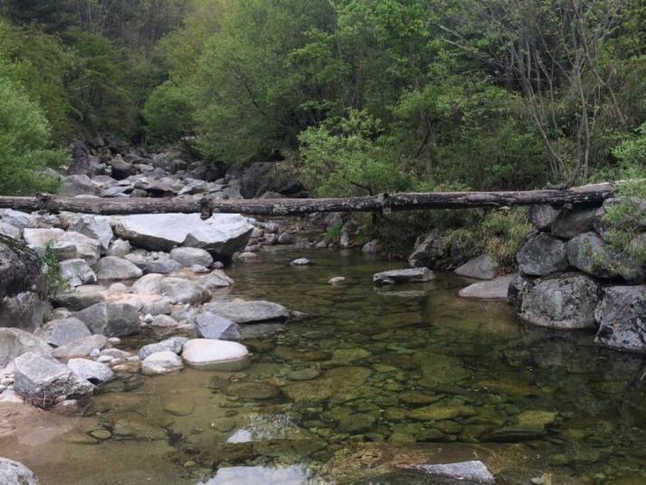 商洛木王国家森林公园好玩吗