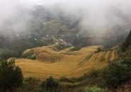 龙脊梯田自驾游