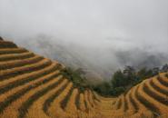 龙脊梯田自驾游