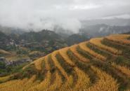 龙脊梯田自驾游