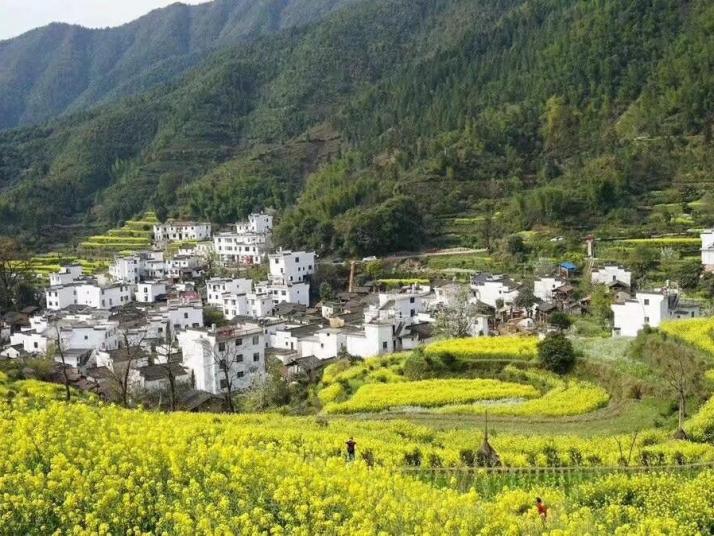 婺源江湾好玩吗