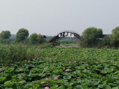 微山湖自驾游