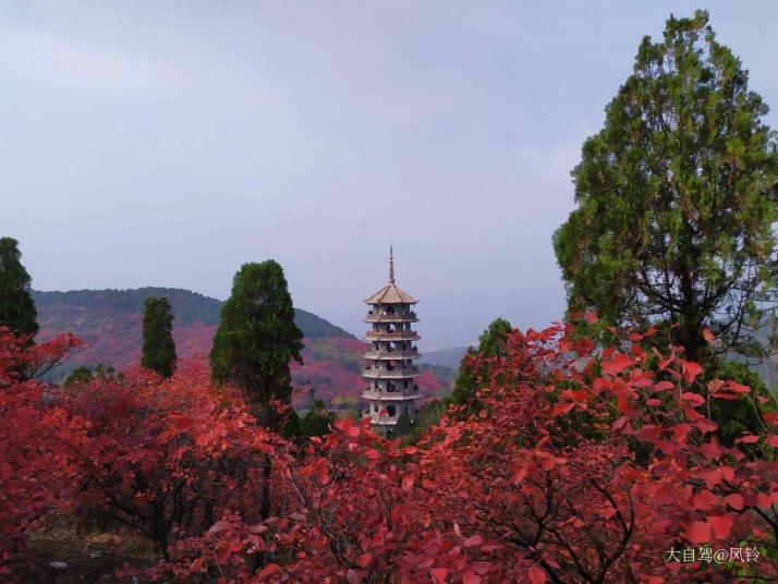 济南红叶谷风景区图片