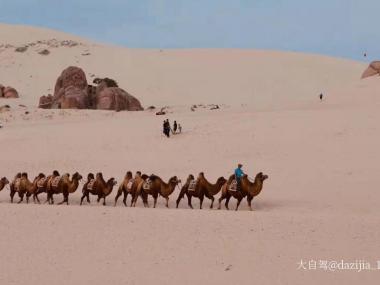 玉龙沙湖自驾游