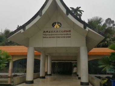 勐仑中科院西双版纳热带植物园自驾游