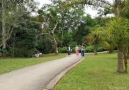 勐仑中科院西双版纳热带植物园自驾游