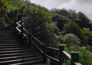 天目湖南山竹海自驾游