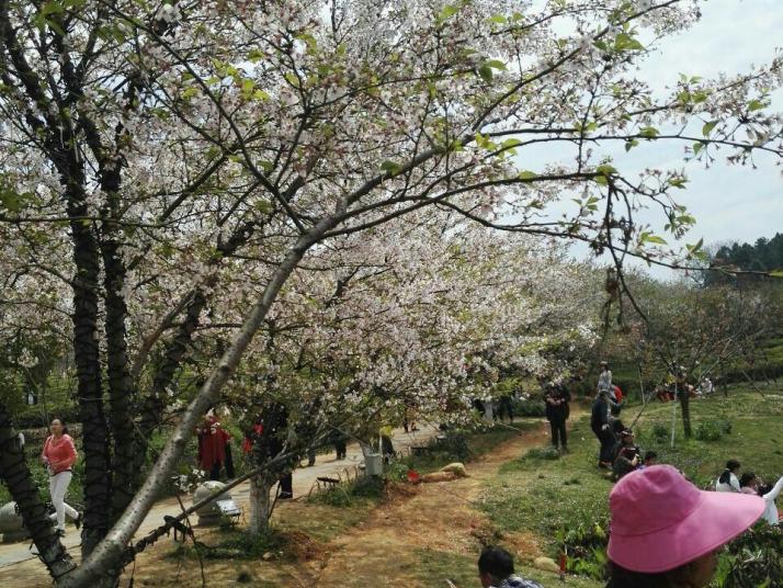 南昌凤凰沟景区好玩吗