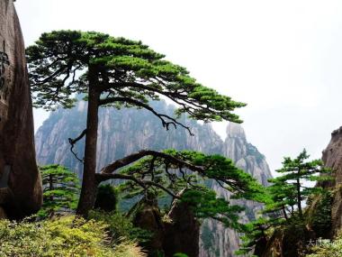 黄山风景区自驾游