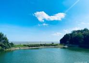 君山岛自驾游