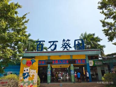百万葵园自驾游