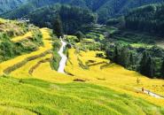欧家梯田自驾游