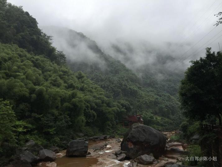 赤水燕子岩国家森林公园 