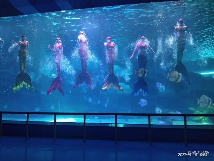 齐河泉城海洋极地世界好玩吗