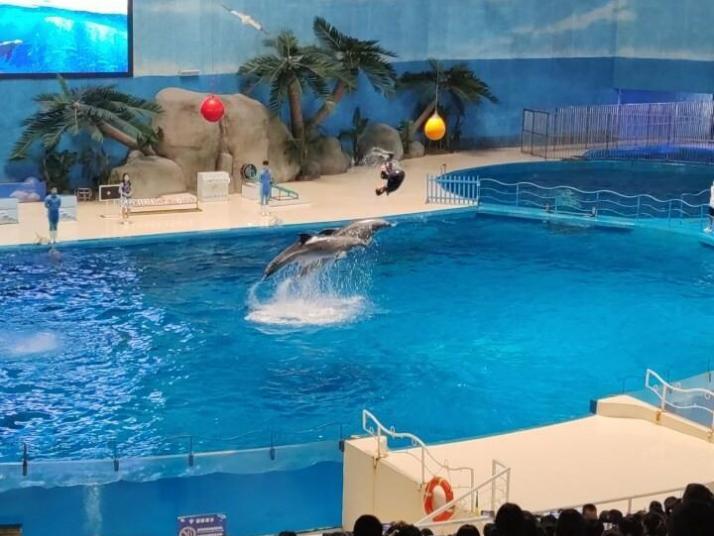 齐河泉城海洋极地世界图片