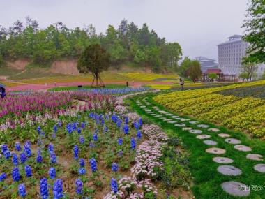 英山四季花海景区自驾游