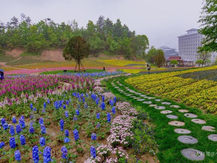 英山英山四季花海景区