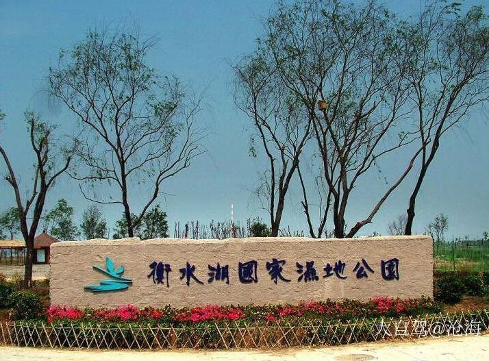 衡水河北衡水湖国家级自然保护区图片