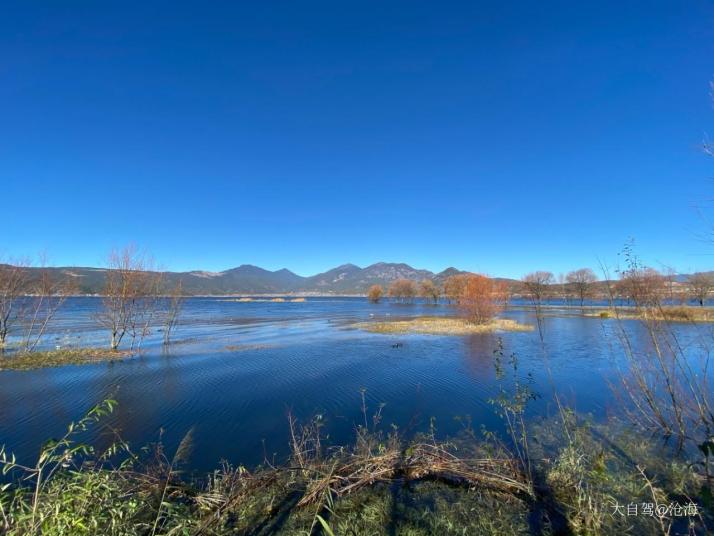 丽江拉市海湿地图片