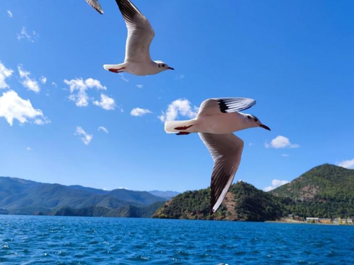 宁蒗格姆女神山好玩吗