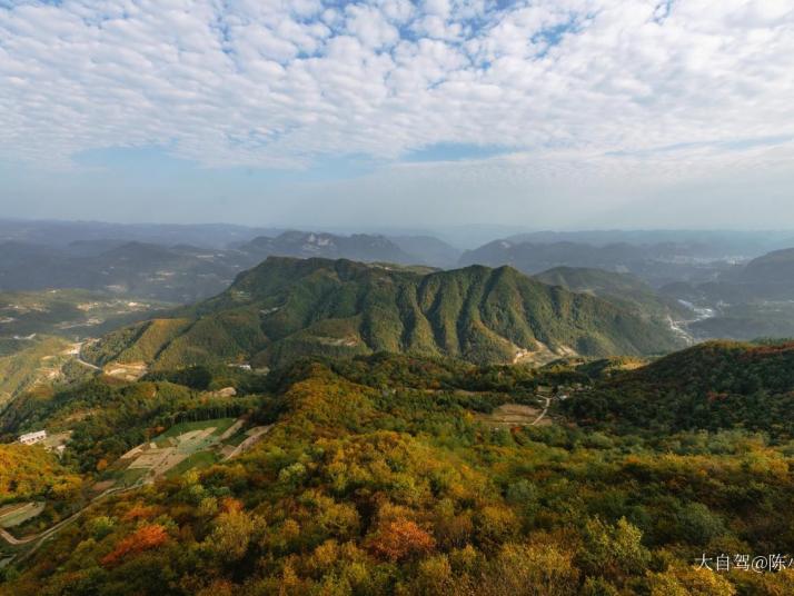 巴东野三关森林花海图片