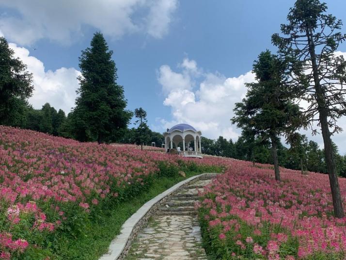 巴东野三关森林花海好玩吗