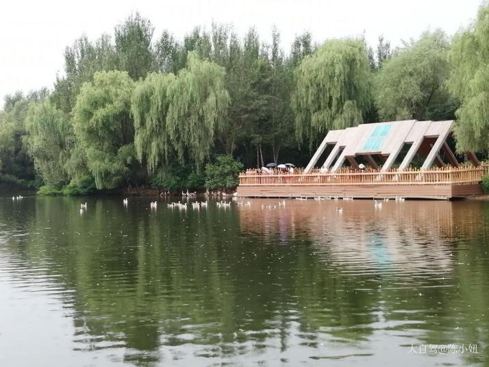 沈阳沈阳鸟岛好玩吗