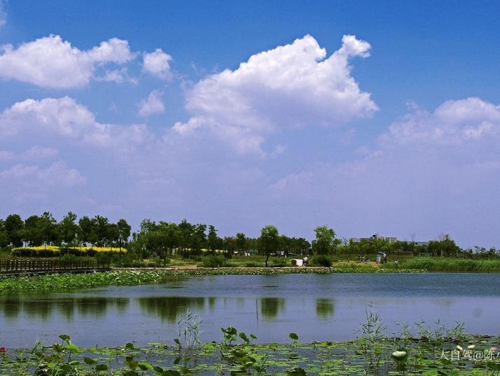 衡水 衡水湖