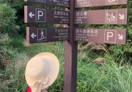 龙脊梯田自驾游