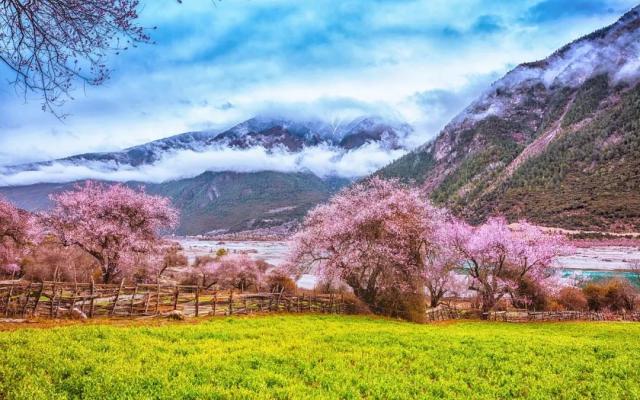 武汉出发西藏20日自驾游：金川梨花-林芝桃花-川藏南北线穿越20日自驾